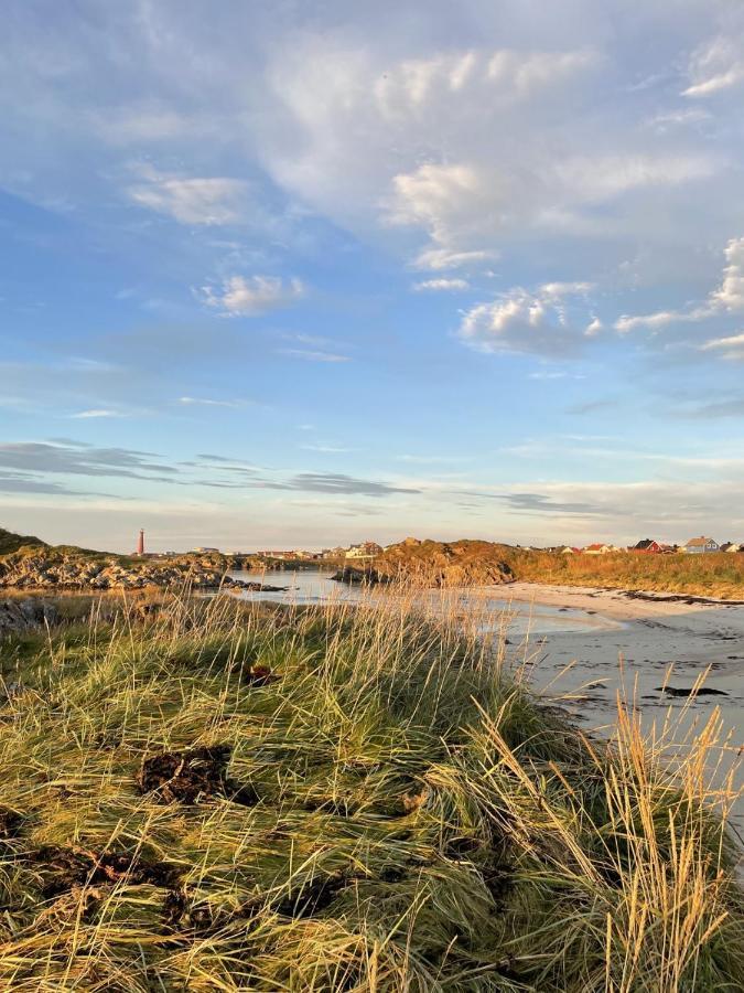 Apartment Utsikten Andenes Eksteriør billede